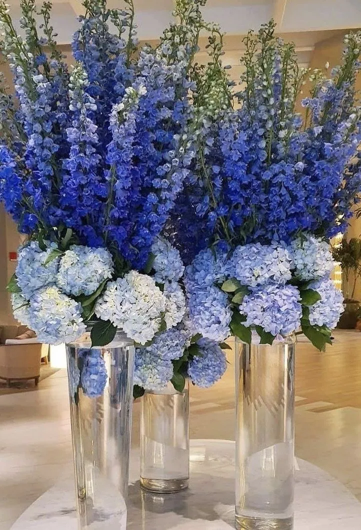 Infinite Blue